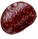 Crispy Cacao Chocolade chips 125gr
