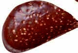Crispy Cacao Chocolade chips 125gr